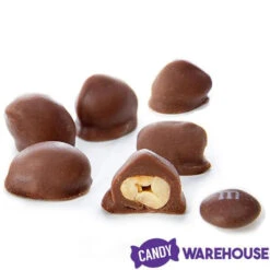Brach's Double Dippers Milk Chocolate Covered Peanuts: 12-Ounce Bag -Candy Promotion Shop brach s double dippers milk chocolate covered peanuts 12 ounce bag candy warehouse 3 6c5445c4 b288 498f b1a5 4083f6aed8f9
