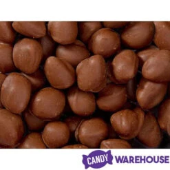 Brach's Double Dippers Milk Chocolate Covered Peanuts: 12-Ounce Bag -Candy Promotion Shop brach s double dippers milk chocolate covered peanuts 12 ounce bag candy warehouse 4 7a6bd210 22d2 46b8 86dc 4fa28e85147b