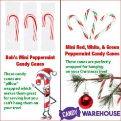 Brach's Peppermint Mini Candy Canes: 500-Piece Tub 10 Brach's Peppermint Mini Candy Canes: 500-Piece Tub -Candy Promotion Shop brach s peppermint mini candy canes 500 piece tub candy warehouse 4