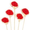 Brain Hard Candy Lollipops: 12-Piece Bag -Candy Promotion Shop brain hard candy lollipops 12 piece bag candy warehouse 1