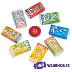 Canel's Miniature Chewing Gum: 220-Piece Bag -Candy Promotion Shop canel s miniature chewing gum 220 piece bag candy warehouse 3