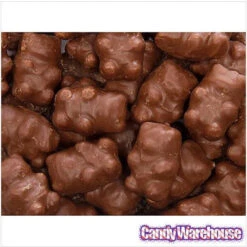 Chocolate Covered Cinnamon Bears: 14-Ounce Bag -Candy Promotion Shop chocolate covered cinnamon bears 14 ounce bag candy warehouse 3