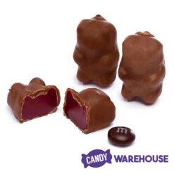 Chocolate Covered Cinnamon Bears: 3LB Bag -Candy Promotion Shop chocolate covered cinnamon bears 3lb bag candy warehouse 2 cec07e80 a1fa 4c42 bc18 858b2bd20dae