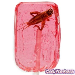 Cricket Lollipops: 36-Piece Box -Candy Promotion Shop cricket lollipops 36 piece box candy warehouse 4