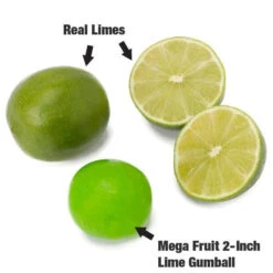 Dubble Bubble Mega Fruit 2-Inch Gumballs: 138-Piece Case -Candy Promotion Shop dubble bubble mega fruit 2 inch gumballs 138 piece case candy warehouse 3 7e3b768f 881f 41d7 b53e 9ee6843e3179