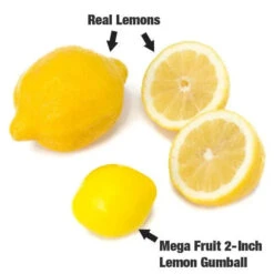 Dubble Bubble Mega Fruit 2-Inch Gumballs: 138-Piece Case -Candy Promotion Shop dubble bubble mega fruit 2 inch gumballs 138 piece case candy warehouse 4 1db9c377 69f2 4258 8701 0023d62dfae6