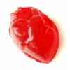 Giant 1-Pound Gummy Heart -Candy Promotion Shop giant 1 pound gummy heart candy warehouse 1