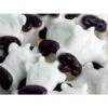 Gustaf's White & Black Gummy Cow Heads: 1KG Bag 2 Gustaf's White & Black Gummy Cow Heads: 1KG Bag -Candy Promotion Shop gustaf s white and black gummy cow heads 1kg bag candy warehouse 1 74f63d65 a925 480c 8b58 33c11e6af305
