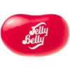 Jelly Belly Cinnamon: 10LB Case -Candy Promotion Shop jelly belly cinnamon 10lb case candy warehouse 1 9b14c881 544a 496f a641 c34712bcc31c