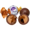 Madelaine Duets Peanut Butter & Caramel Filled Chocolate Truffles: 48-Piece Box 2 Madelaine Duets Peanut Butter & Caramel Filled Chocolate Truffles: 48-Piece Box -Candy Promotion Shop madelaine duets peanut butter and caramel filled chocolate truffles 48 piece box candy warehouse 1