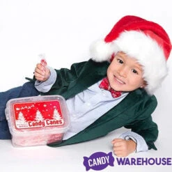 Mini Candy Canes - Red And White: 100-Piece Tub -Candy Promotion Shop mini candy canes red and white 100 piece tub candy warehouse 3