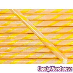 Salted Caramel Hard Candy Sticks: 100-Piece Box -Candy Promotion Shop salted caramel hard candy sticks 100 piece box candy warehouse 3