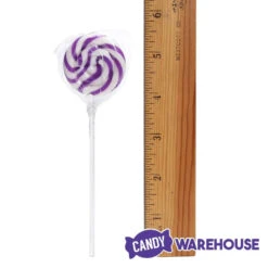 Swipple Pops Petite Swirl Ripple Lollipops - Purple Grape: 60-Piece Tub -Candy Promotion Shop swipple pops petite swirl ripple lollipops purple grape 60 piece tub candy warehouse 4